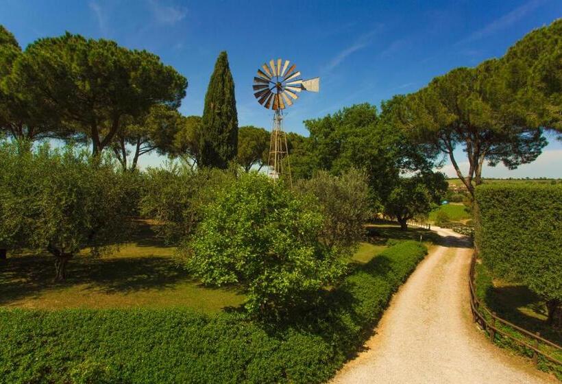 Номер Стандарт, Fattoria Di Magliano Winery