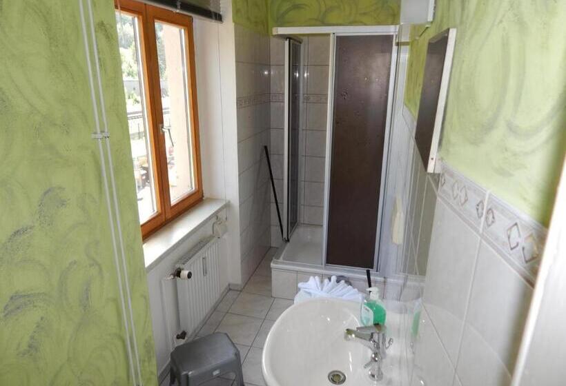 Номер Стандарт, Pension Bomätscher