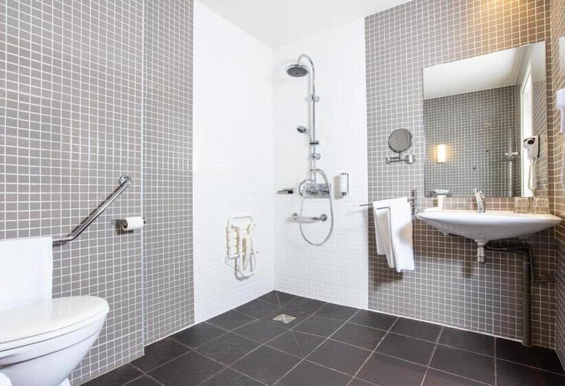 Номер Стандарт, Best Western Plus Le Canard Sur Le Toit