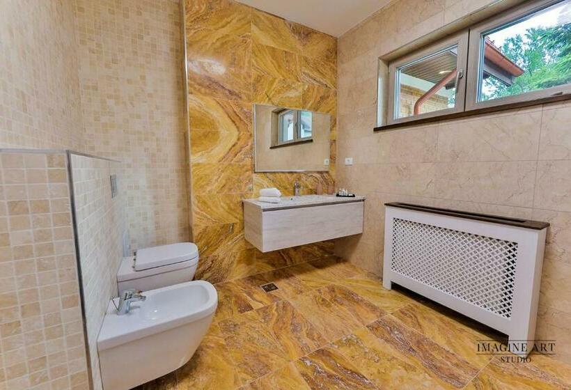 Апартаменты 2 Спальни, Moviliţa Residence