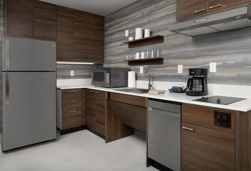 سوئیت با تخت بزرگ, Residence Inn By Marriott Jacksonville Downtown