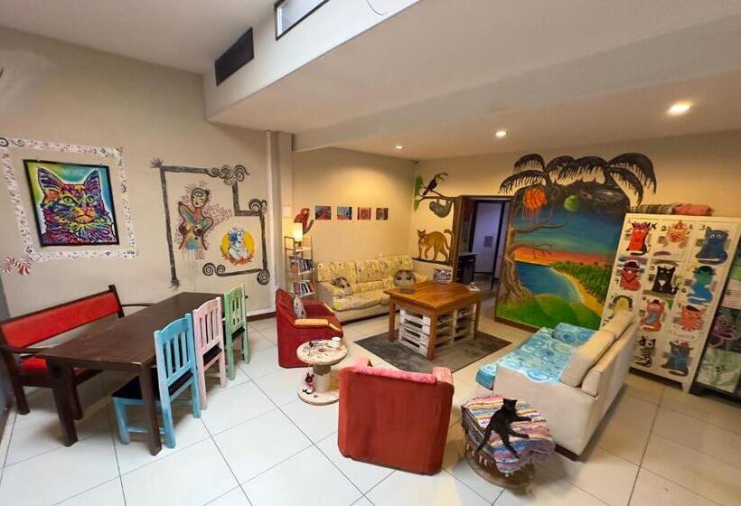 Номер Стандарт, Stray Cat Hostel