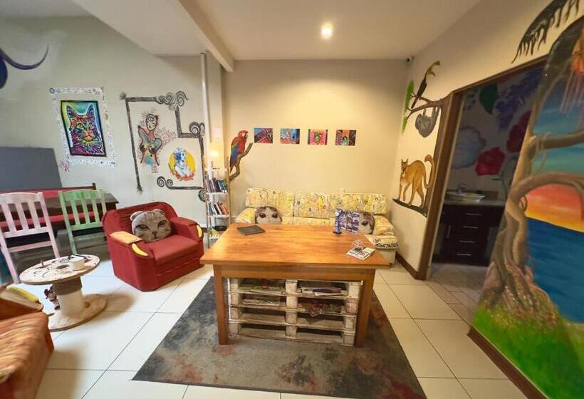 Номер Стандарт Трехместный, Stray Cat Hostel