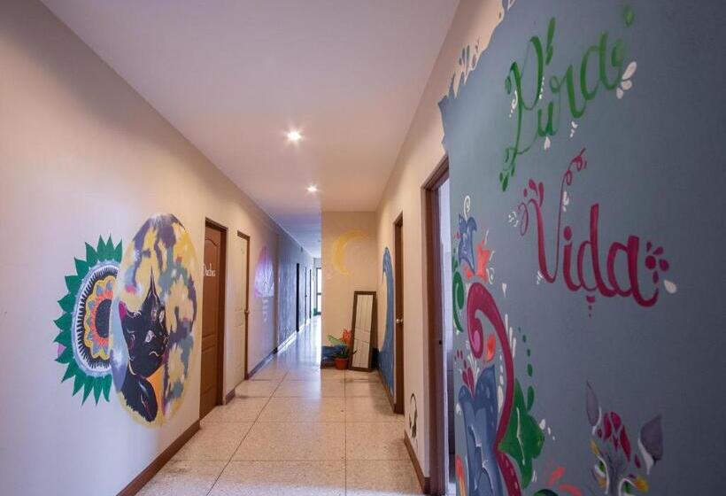 Номер Стандарт Трехместный, Stray Cat Hostel