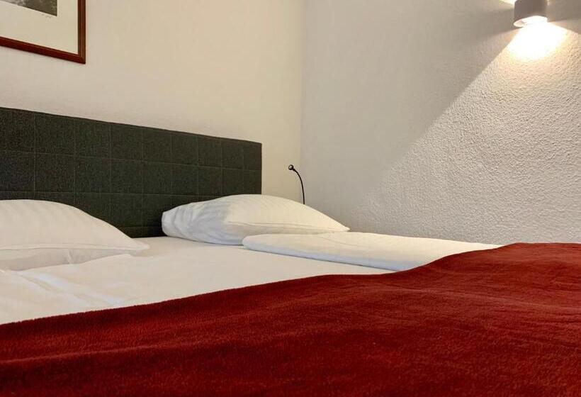 آپارتمان 3 خوابه, Altstadthotel Hayk Am Rhein