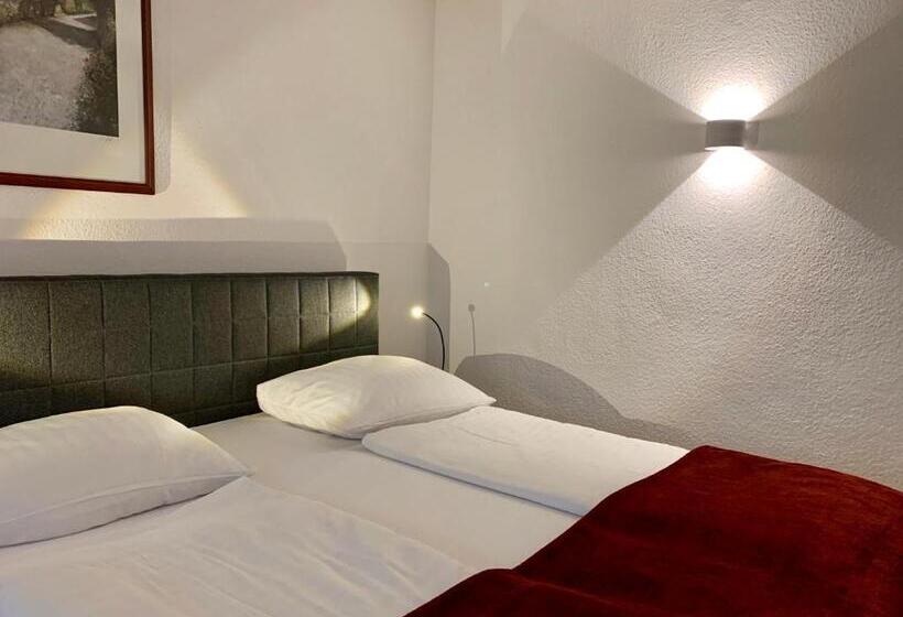 Апартаменты 3 Спальни, Altstadthotel Hayk Am Rhein