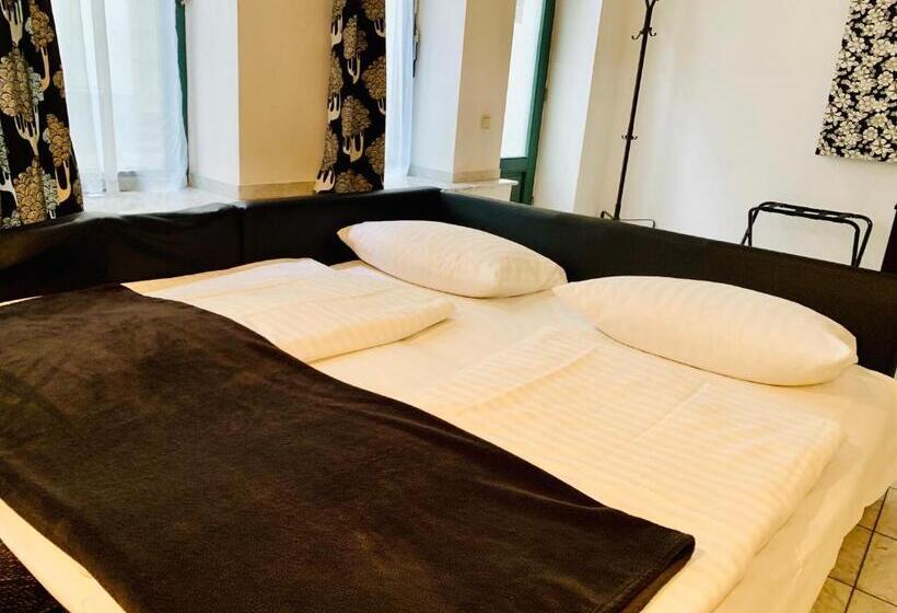 Студия Superior, Altstadthotel Hayk Am Rhein