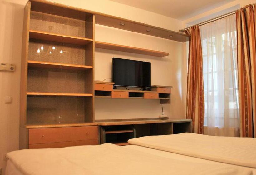 آپارتمان 1 خوابه همکف, Altstadthotel Hayk Am Rhein