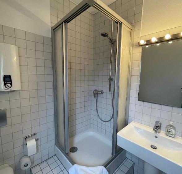 1 Bedroom Penthouse Apartment, Altstadthotel Hayk Am Rhein