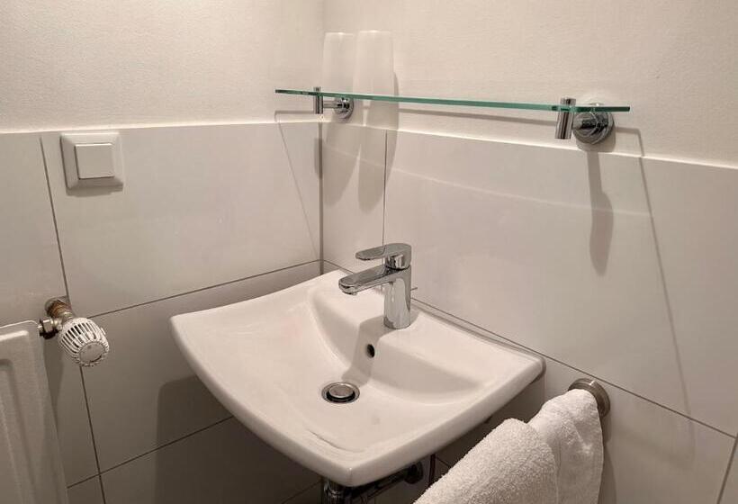 اتاق عادی, Altstadthotel Hayk Am Rhein