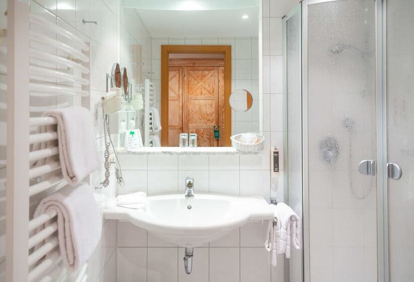 Номер Стандарт, Aktiv Hotel Schweiger