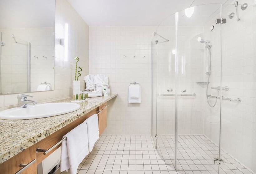 اتاق استاندارد, Collegium Leoninum