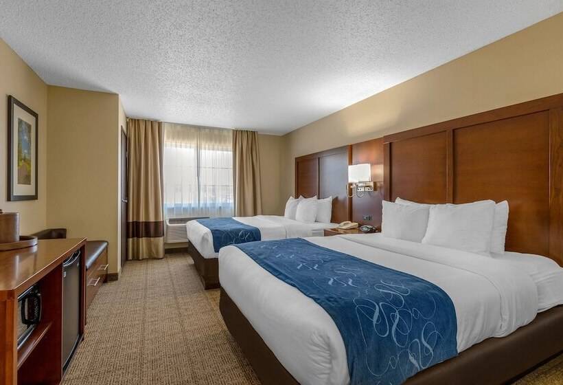 Люкс, Comfort Suites