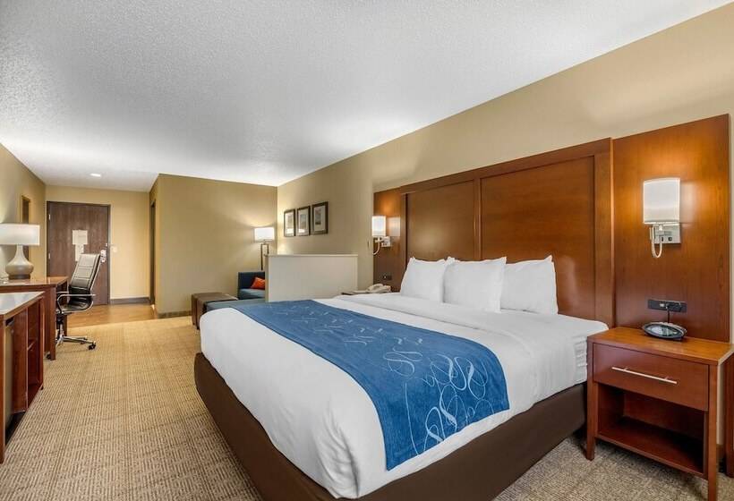Люкс, Comfort Suites