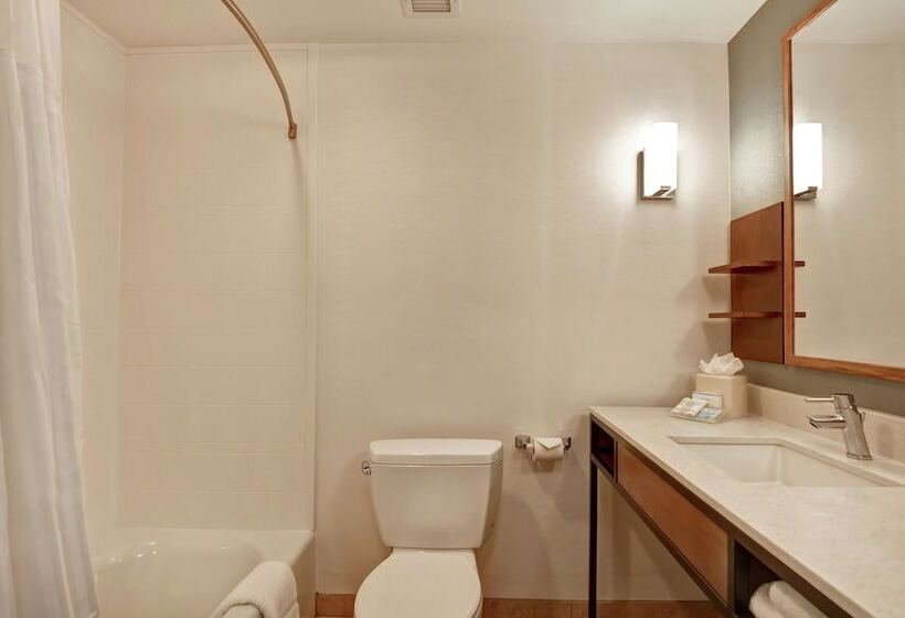Люкс, Hilton Garden Inn Mobile East Bay / Daphne