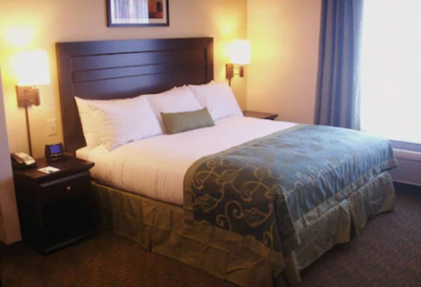 스위트 킹사이즈 침대, Holiday Inn Express & Suites Oro Valley Tucson North, An Ihg