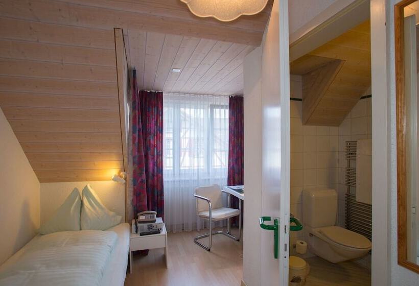 اتاق استاندارد یک نفره, Seminarhotel Linde Stettlen