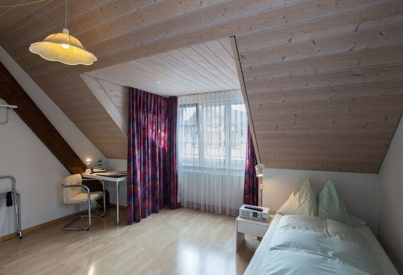 Номер Комфорт Индивидуальный, Seminarhotel Linde Stettlen