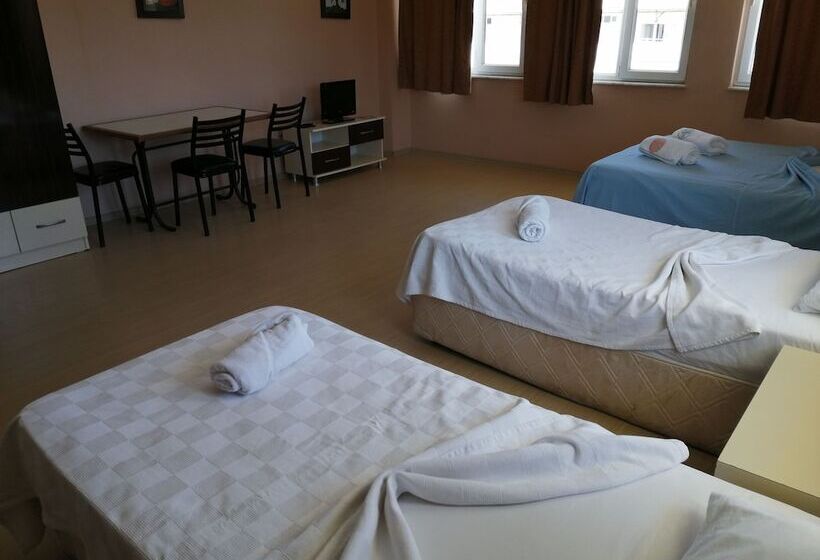 آپارتمان 1 خوابه, Mina Apart Otel