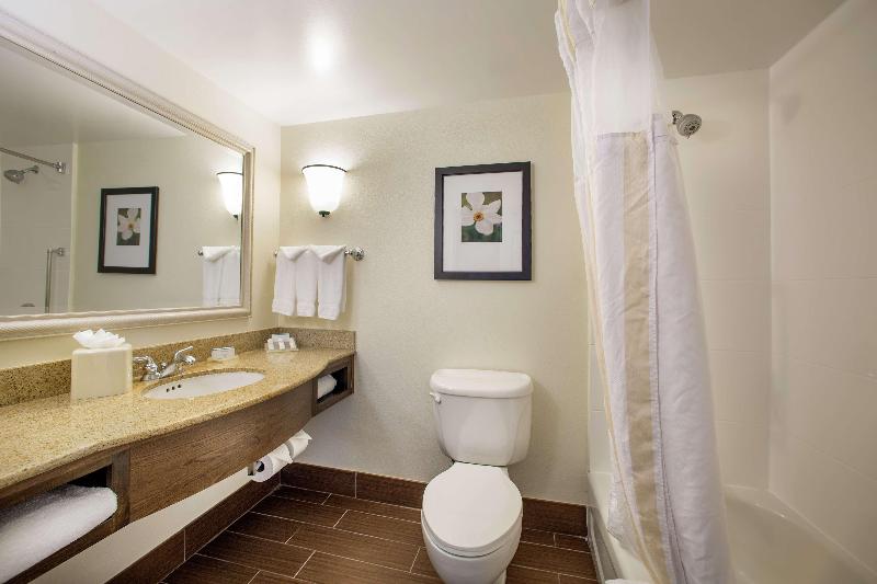 带大床的标准间, Hilton Garden Inn Richmond Innsbrook