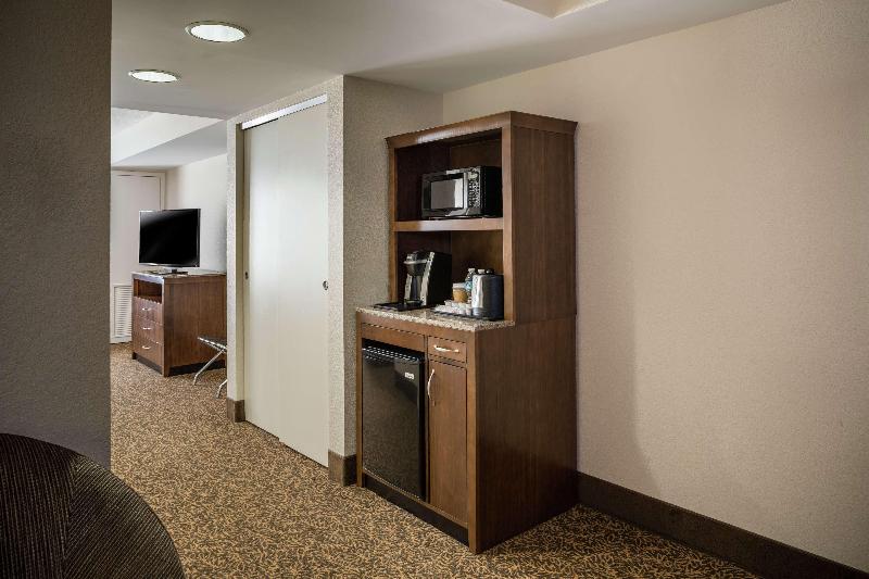 带大床的小型套房, Hilton Garden Inn Richmond Innsbrook