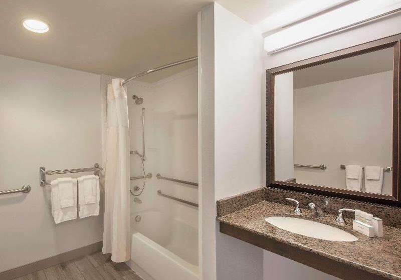 带大床的标准间, Hilton Garden Inn Richmond Innsbrook
