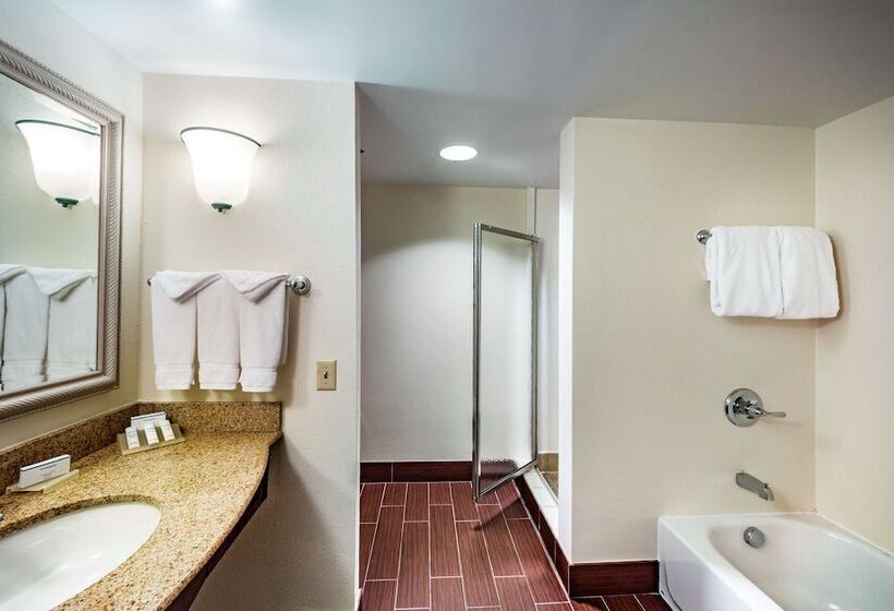 Номер Стандарт, Hilton Garden Inn Richmond Innsbrook
