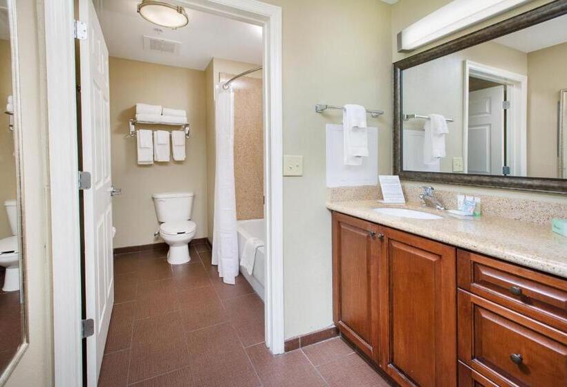 סטודיו סטנדרט, מיטה זוגית, Staybridge Suites Augusta, An Ihg