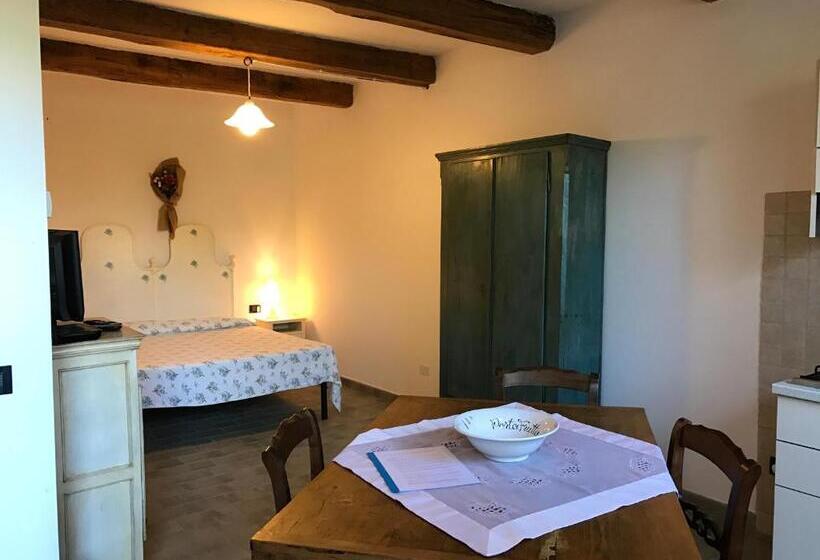 Студия Стандарт, Casale San Giovanni