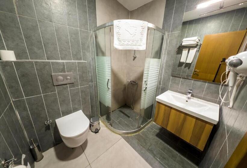 اتاق لوکس, Istanbul Airport Express