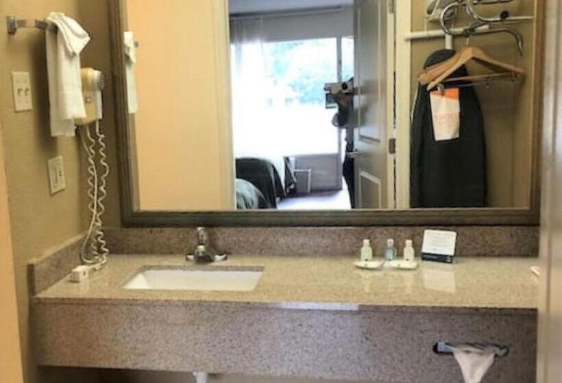 מיטת קינג בסוויטה, Quality Inn Alachua  Gainesville Area