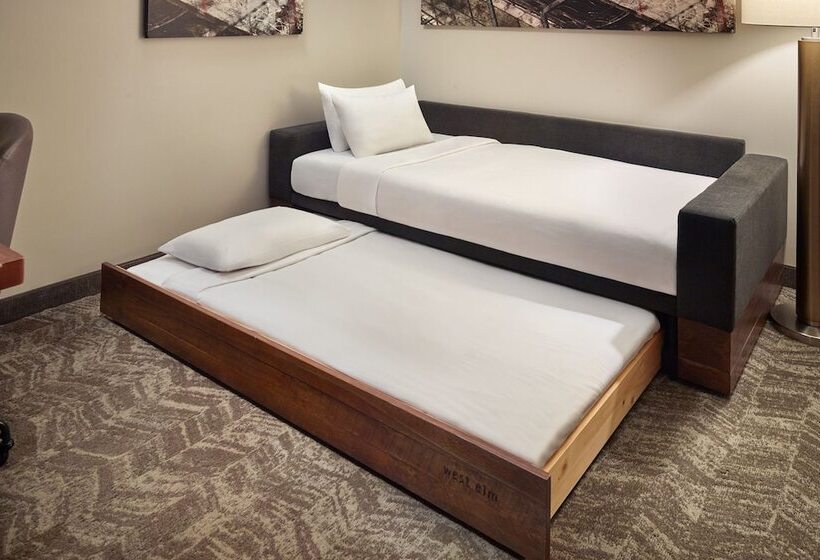 スイート, Springhill Suites By Marriott Atlanta Airport Gateway