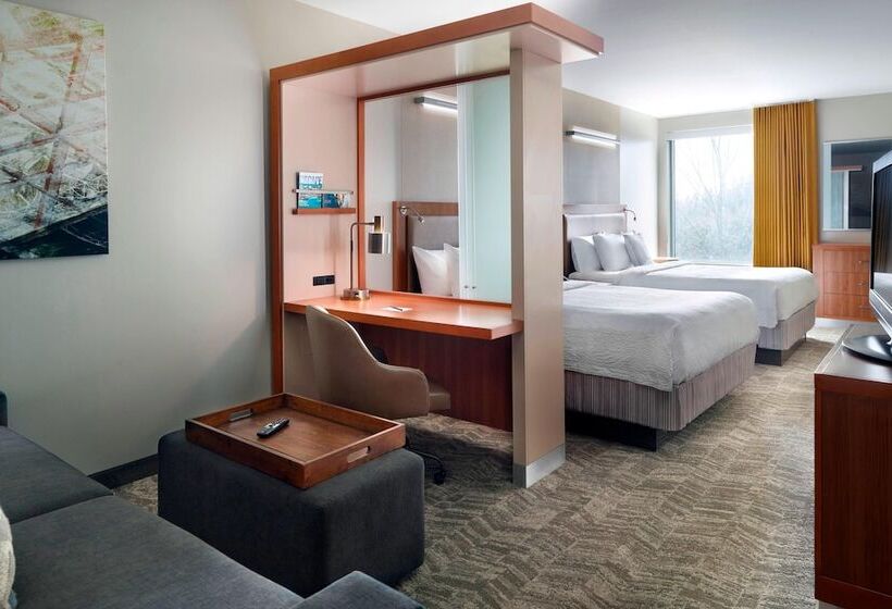 身障者適用スイートルーム, Springhill Suites By Marriott Atlanta Airport Gateway