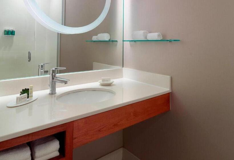 キングサイズベッドのスイートルーム, Springhill Suites By Marriott Atlanta Airport Gateway
