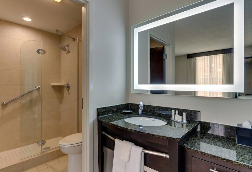 스탠다드 스튜디오, Springhill Suites By Marriott Birmingham Downtown At Uab