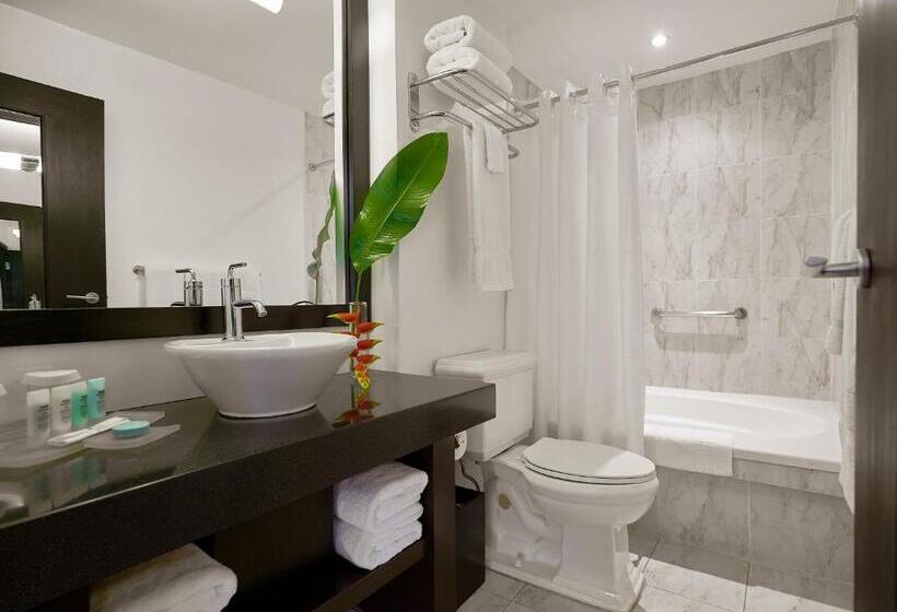 Люкс Вид на Город, S Hotel Kingston