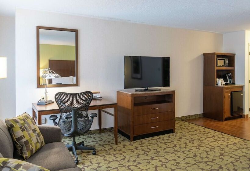 Полулюкс, Hilton Garden Inn Plymouth