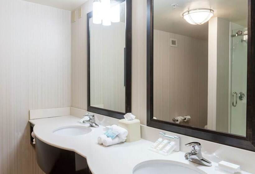 Номер Стандарт Адаптированный для Инвалидов, Hilton Garden Inn Plymouth