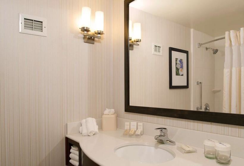 Полулюкс, Hilton Garden Inn Plymouth