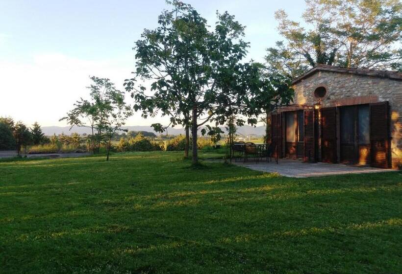 Апартаменты 3 Спальни, Marco & Andrea Agriturismo