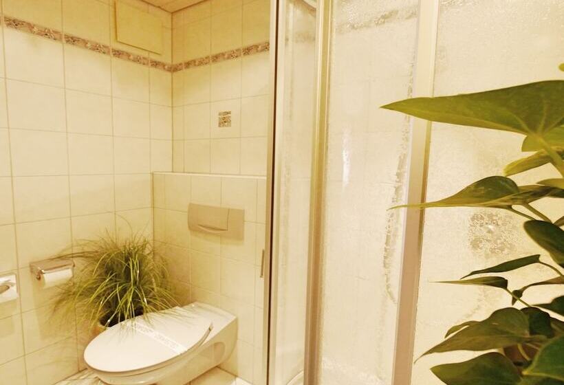 Номер Стандарт, Kohlers Hotel Engel