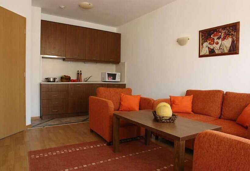 آپارتمان کلاسیک 1 خوابه, Winslow Elegance Apartments
