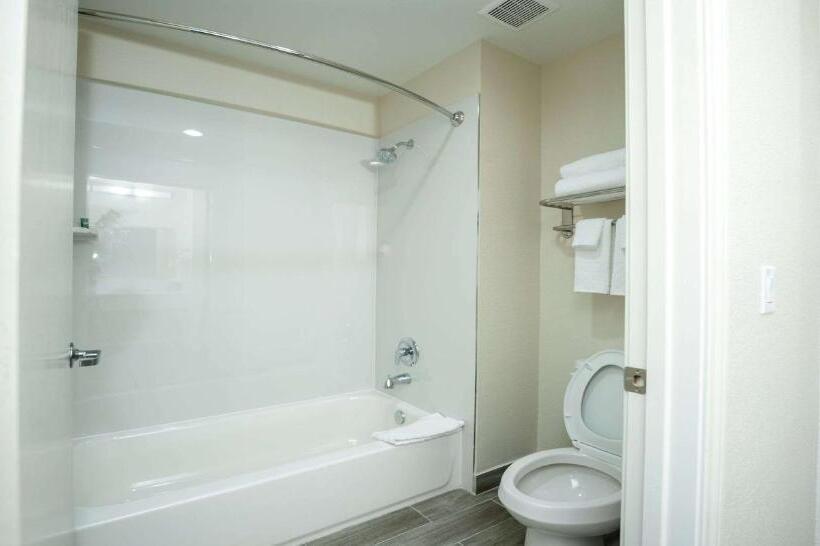 Standard Szoba King Size Bed, Best Western Houston Bush Iah Intercontinental Airport Inn