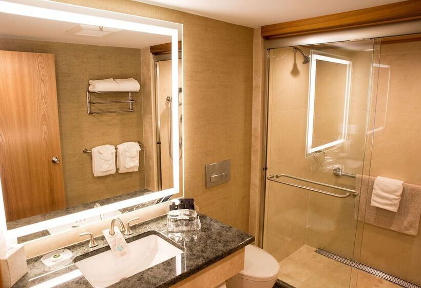 Номер Deluxe, Golden Arrow Lakeside Resort