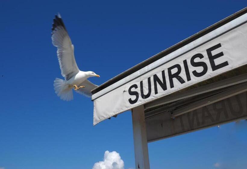 エコノミールーム, The Sunrise