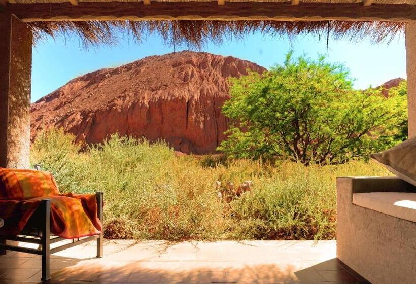 Номер Стандарт, Nayara Alto Atacama