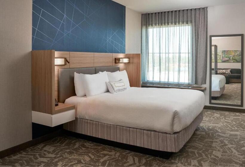 스위트 킹사이즈 침대, Springhill Suites By Marriott Winter Park