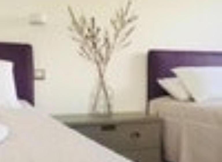 标准房带园景, Oliveto Bed And Breakfast