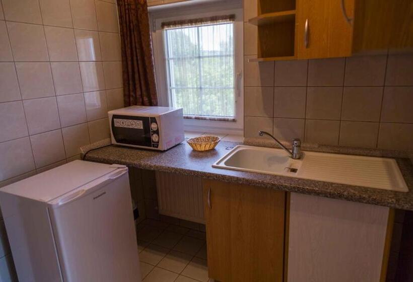 Студия Стандарт, Arina Villa