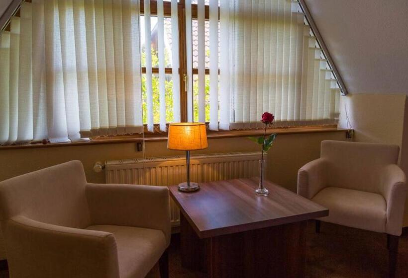 Студия Стандарт, Arina Villa